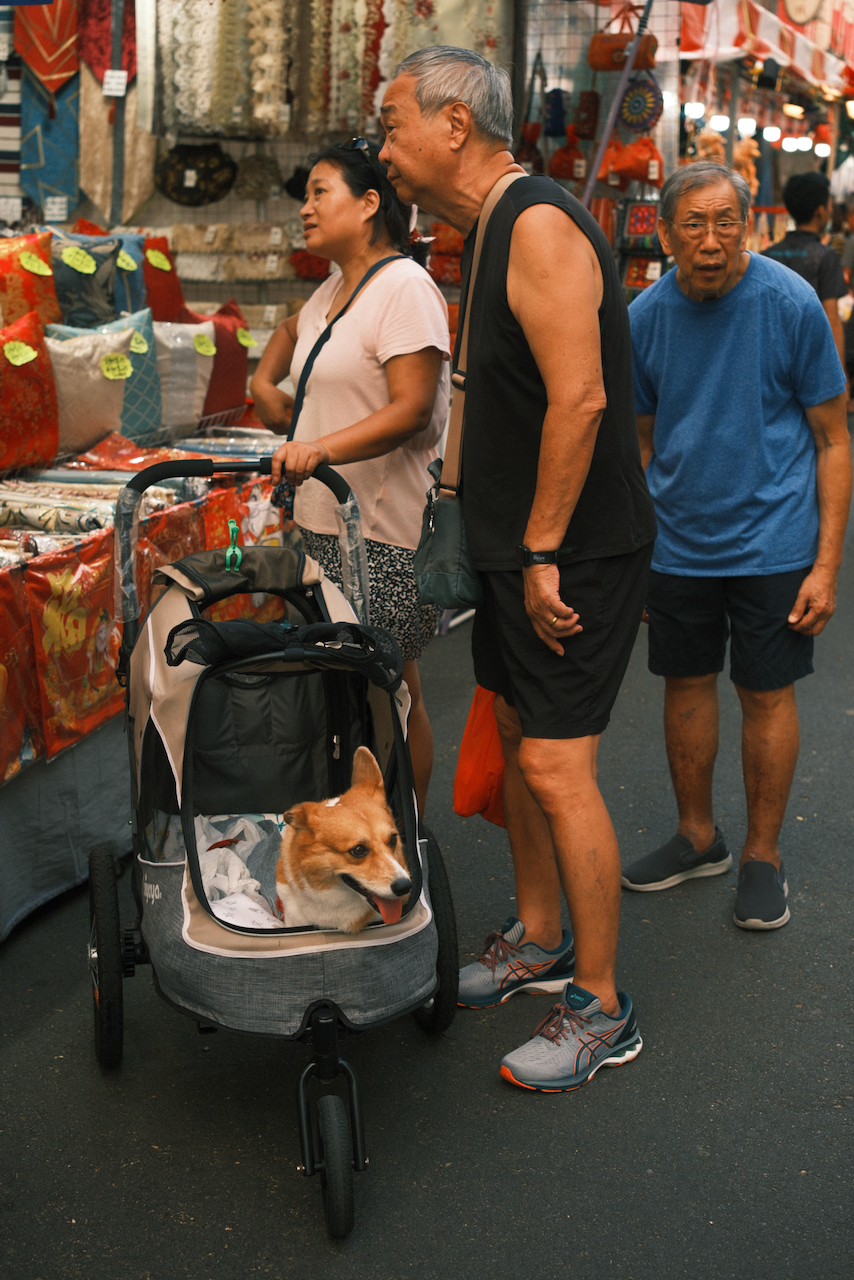 Shoppers at the Lunar New Year Bazaar, Singapore Chinatown. Pets are allowed!